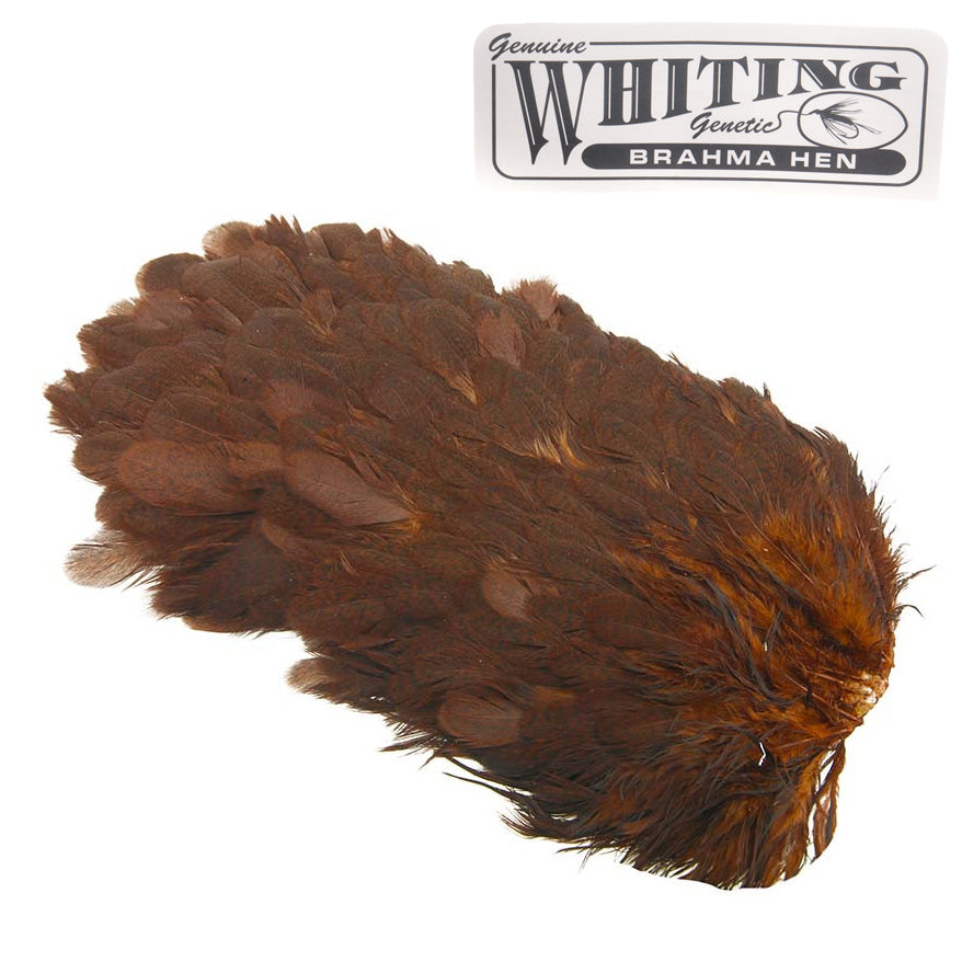 Whiting Brahma Hen Sattel