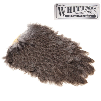 Whiting Brahma Hen Sattel
