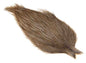 Whiting Coq de Leon Kaphahn - Hell Pardo