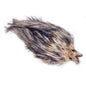 Whiting Spey Hechel Hahnenhals - Variante Natur
