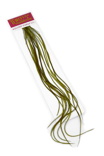 Whiting 100-pk – Size 18 â€“ dealerweb-cms-0f4826c9-21fe-411a-a2a9-4dac7c23319f.jpg