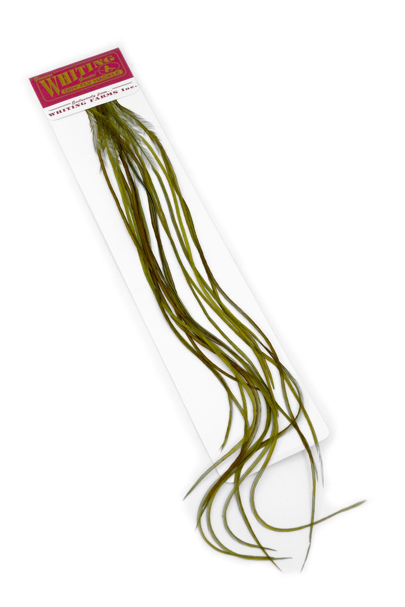 Whiting 100-pk – Size 16 â€“ dealerweb-cms-0f4826c9-21fe-411a-a2a9-4dac7c23319f.jpg