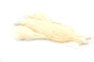 Whiting 4 B's Hen Cape â€“ dealerweb-cms-1a6cf118-0798-428f-b6a6-df2246cd05b8.jpg