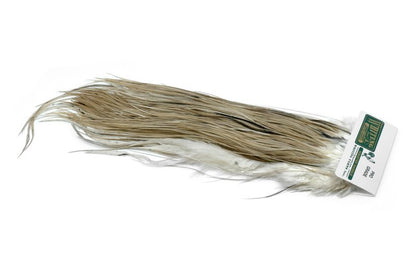 Whiting Hebert Rooster Saddle – Pro Grade â€“ dealerweb-cms-201d6923-b84d-4f7a-ab7b-f54a881696c1.jpg