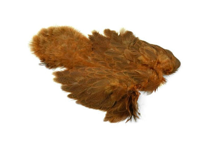Whiting Brahma Hen SH/C â€“ dealerweb-cms-3b1475e4-2551-4afe-a8e1-87725d337406.jpg