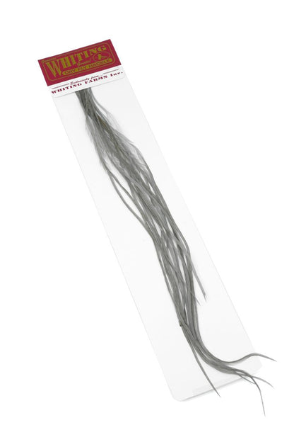 Whiting 100-pk – Size 16 â€“ dealerweb-cms-44d65b56-3fbd-463e-bbcf-100b2780b9a3.jpg