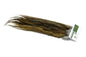 Whiting Hebert Rooster Saddle – Pro Grade â€“ dealerweb-cms-4738ae08-86b3-464d-9ba3-c70e5d579d07.jpg