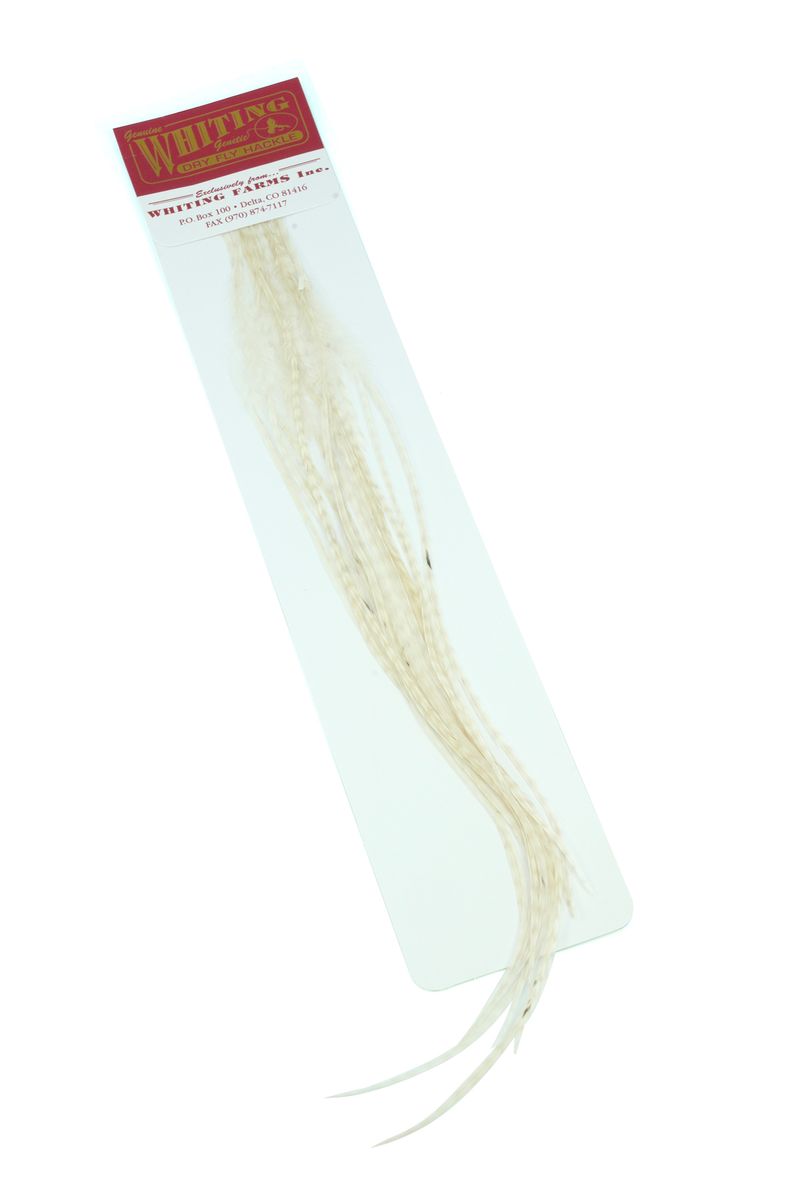 Whiting 100-pk – Size 14 â€“ dealerweb-cms-4be4903d-a13b-4510-b5e4-070cac0fb318.jpg