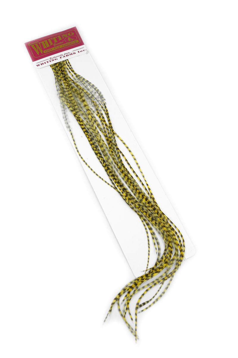 Whiting 100-pk – Size 12 â€“ dealerweb-cms-64db4737-5040-4d42-afe5-be62b4bf38ae.jpg