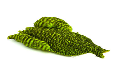 Whiting 4 B's Hen Cape â€“ dealerweb-cms-72ab1eff-5145-451b-b2bc-e3bb55fce66e.jpg