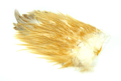 Whiting 4 B's Rooster Saddle â€“ dealerweb-cms-7c5593a5-b0fc-4840-b4fd-d9fc8f9d6b39.jpg