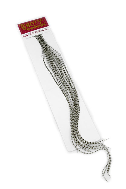 Whiting 100-pk – Size 20 â€“ dealerweb-cms-7d0f5887-a856-45d9-94fb-a7f22a2701b9.jpg