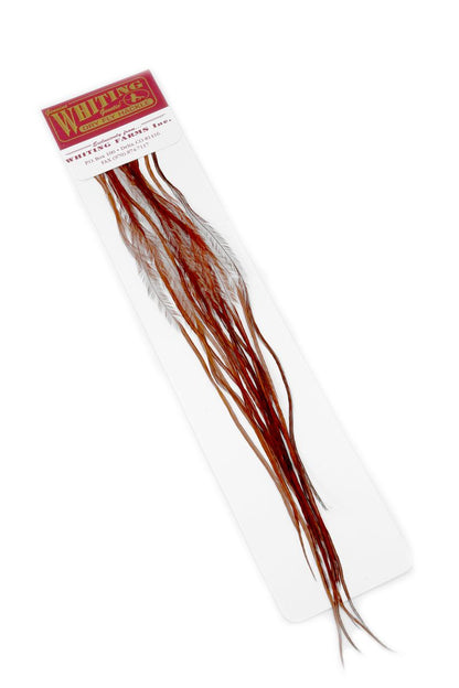 Whiting 100-pk – Size 18 â€“ dealerweb-cms-82af297a-1a45-45f6-a0fd-a22db55c8227.jpg