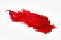 Whiting Bird Fur â€“ dealerweb-cms-90a3cd5b-4195-4fe8-aad2-e0cf1ef8c1ee.jpg