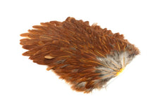 Whiting 4 B's Hen Saddle â€“ dealerweb-cms-9211d546-b24b-42f6-9670-57a0e677d04d.jpg