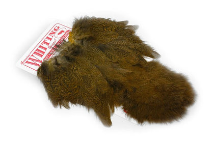Whiting Coq De Leon Hen SH/C â€“ dealerweb-cms-aabc8f7f-0f5b-4752-92c4-2a166e77b17e.jpg