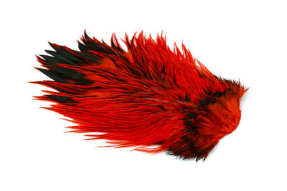 Whiting Brahma Rooster Saddle â€“ dealerweb-cms-abbf250d-461c-44d4-b3c4-3af88ae3640f.jpg
