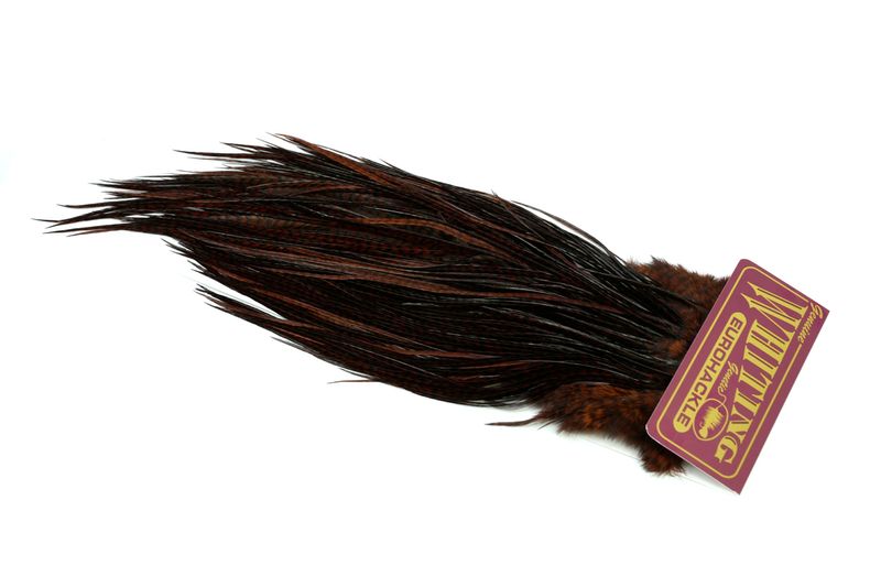 Whiting Eurohackle Saddle â€“ dealerweb-cms-ac5f9032-59d8-4ff7-91d6-894f04ad1ec1.jpg