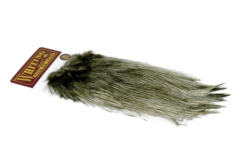 Whiting Coq de Leon Rooster Saddle – Bronze â€“ dealerweb-cms-bc695309-4e8e-4d26-97f9-bc519e2d0268.jpg