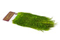 Whiting Coq de Leon Rooster Saddle – Bronze â€“ dealerweb-cms-c8483275-8396-4439-8a29-238f352f41cb.jpg