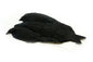 Whiting 4 B's Hen Cape â€“ dealerweb-cms-cec1e448-cd92-4553-b653-98daf64db129.jpg