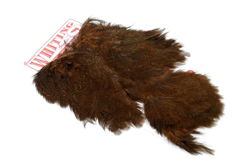 Whiting Coq De Leon Hen SH/C â€“ dealerweb-cms-e11fbd3c-ce68-46ef-949a-43a602dddaec.jpg