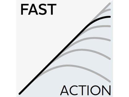 fast.jpg