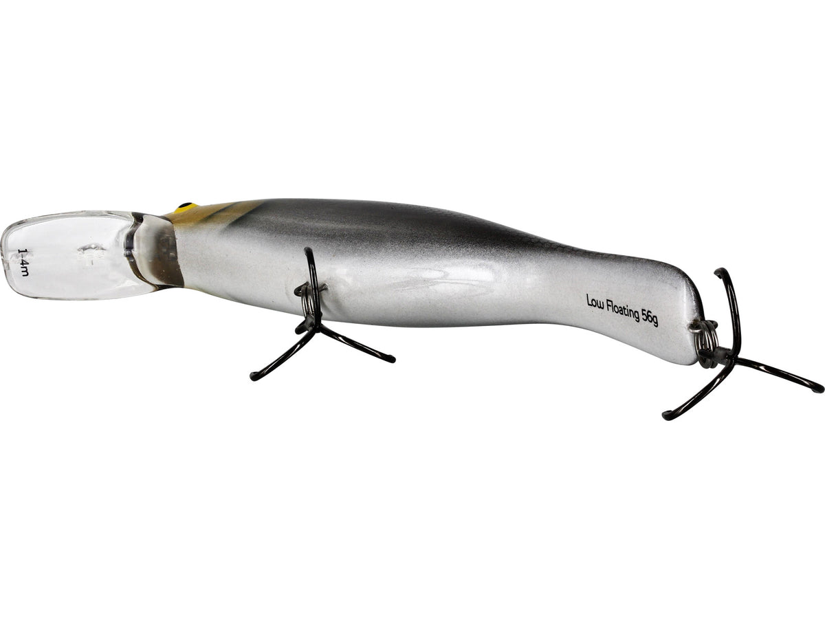 p107_f3_large.jpg