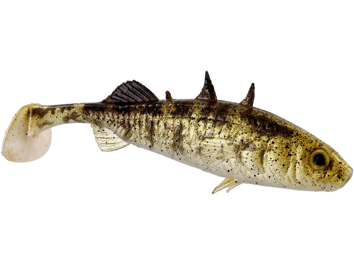 p117_stanley-the-stickleback_headline_large.jpg