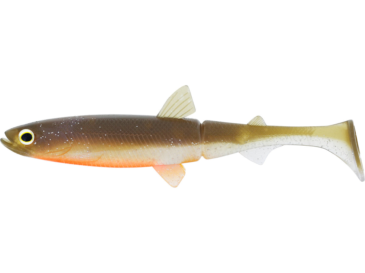 p233-256-229_large.jpg