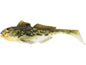 p244-1103-042_large.jpg
