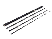 W3 Powercast Reiseetui, 2. Generation, 2,4 m, 20–80 g, 4-teilig