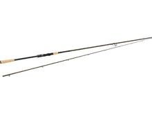 w834_sbass_headline_large.jpg